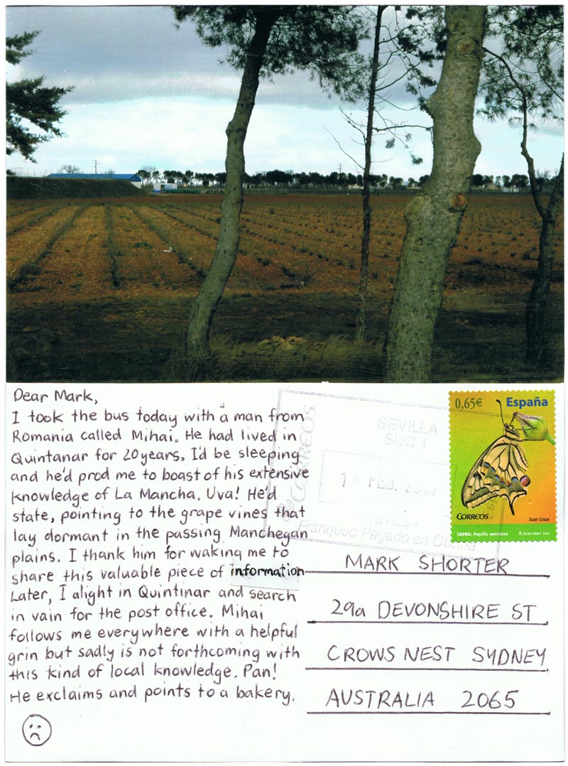 Untold Torment Without Reason