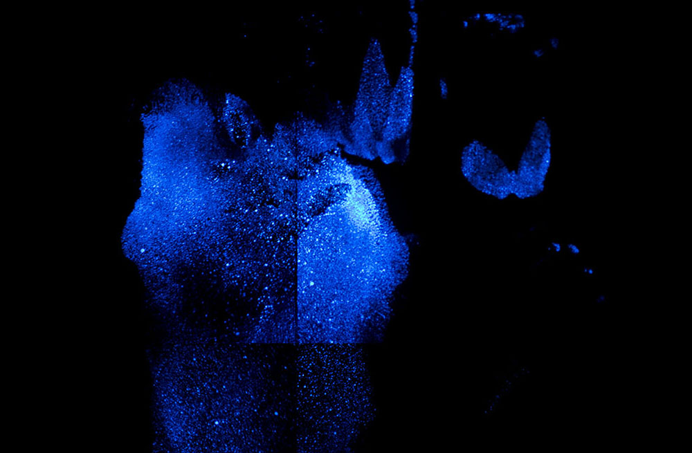 Test Excavation close up (1)